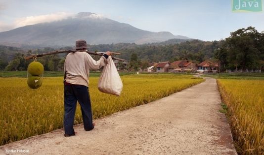 Fakta Desa Wisata di Jabar, Juara di ASEAN hingga Surga Durian 2 2 14
