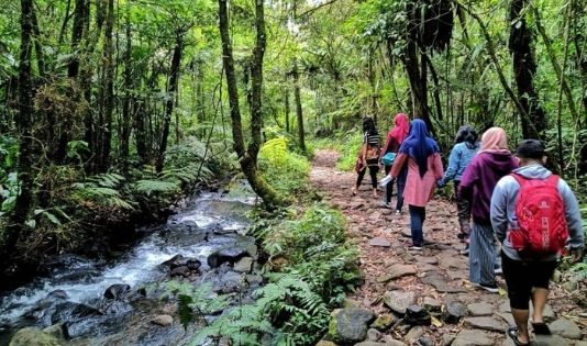 Curug Cibeureum