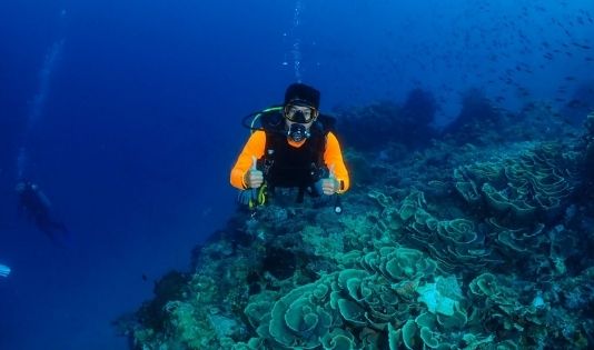 Ngetrip ke Bali