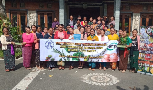 Tengok Yuk, 5 Desa Wisata Antimainstream di Bali Selain Pantai 5 desa catur, desa wisata catur, desa herbal bali, kopi kintamani, kintamani bali, tanaman herbal, herbal bali