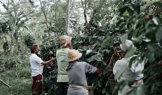 Ngetrip desa wisata