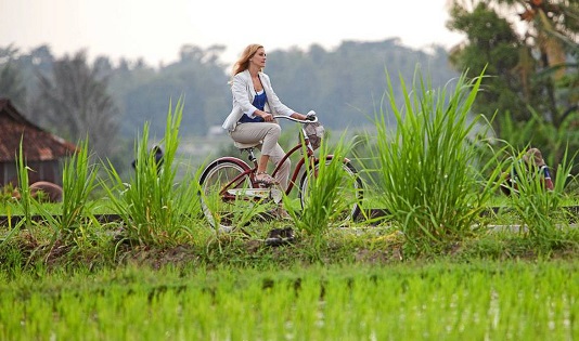Eat, Pray Love