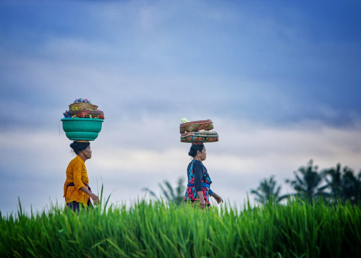 Desa Wisata Bali