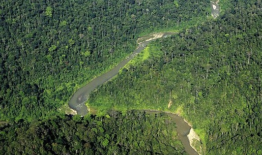 Gunung Leuser
