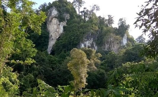 Gunung Putih Kaltara