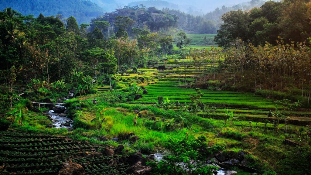 Desa Wisata Ngawi