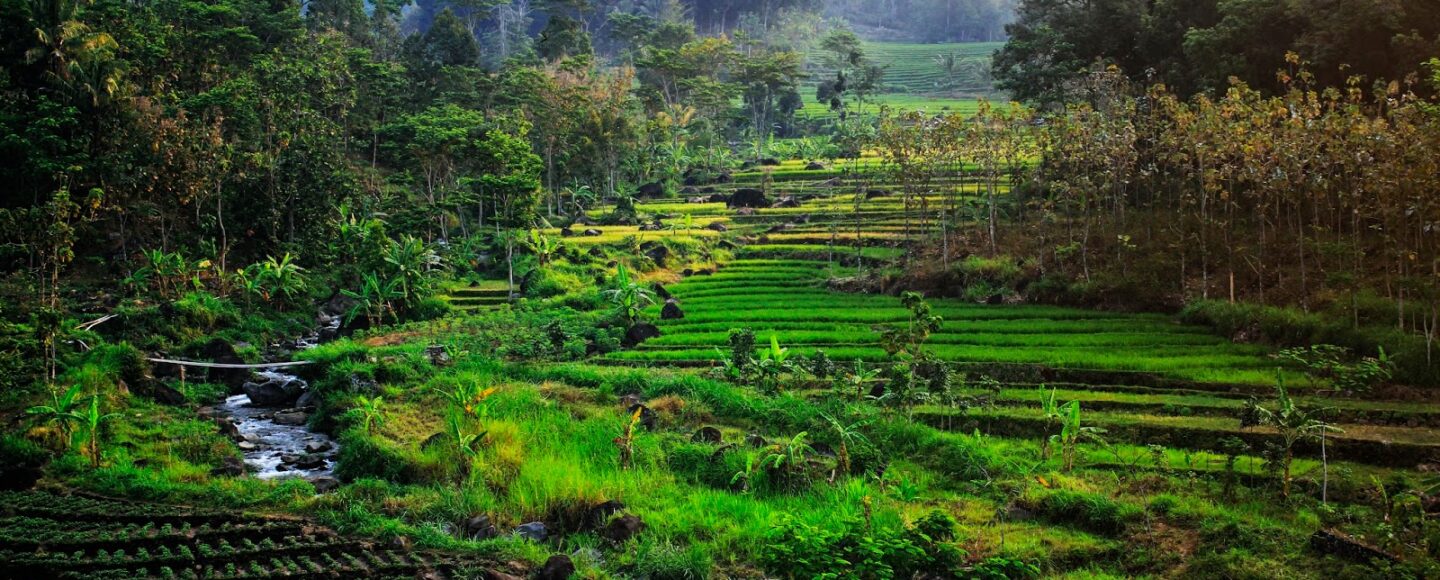 Ngawi Jawa Timur Siap Ambil Bagian Dalam Pengembangan Desa Wisata Desa Wisata Ngawi