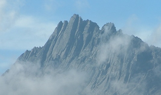 Guu