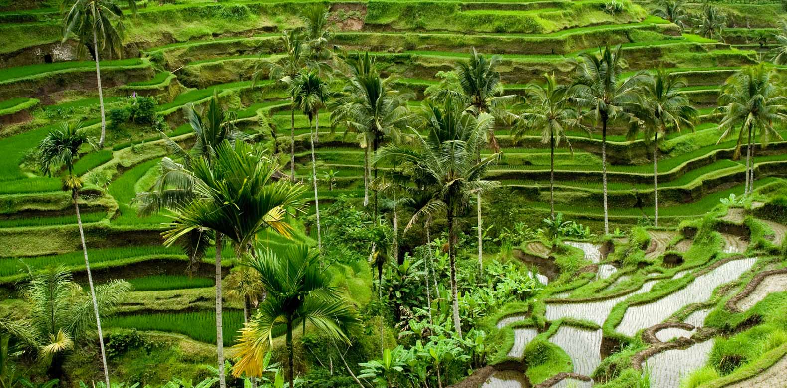 Trip Desa Wisata Bisa Jadi Tren Liburan Pascapandemi