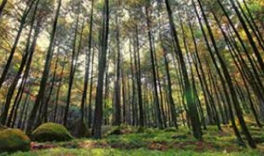 Destinasi wisata ke Sentul