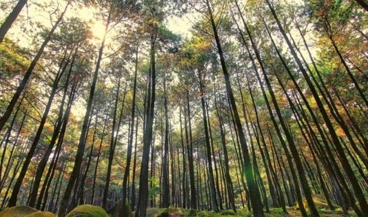 Ngetrip ke Gunung Pancar