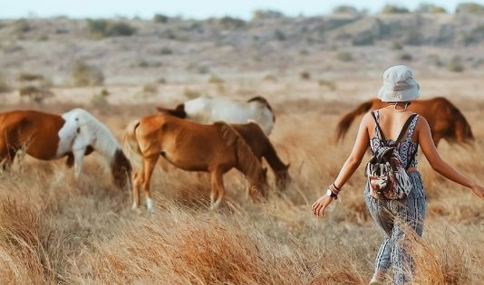 Fakta Ngetrip ke Sumba