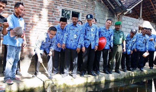 Desa gurami