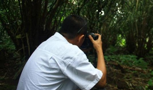 Desa wisata sibetan 2