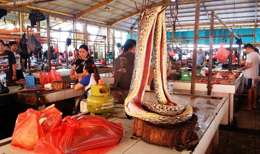Pasar Tomohon