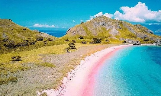 Pink Beach Pulau Komodo