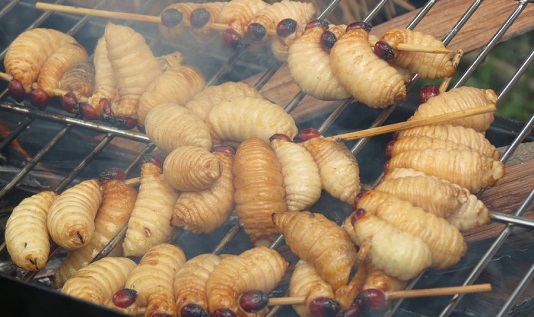 Sate Ulat Sagu Papua