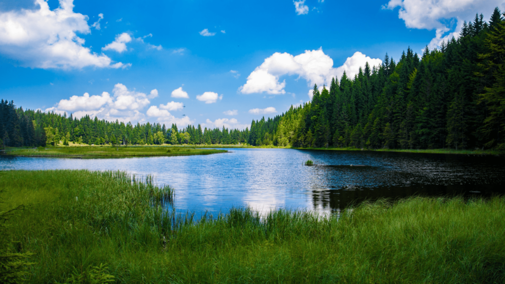 10 Danau Tertinggi di Indonesia. Paling Banyak di Papua dan Jawa Timur! Danau Tertinggi di Indonesia