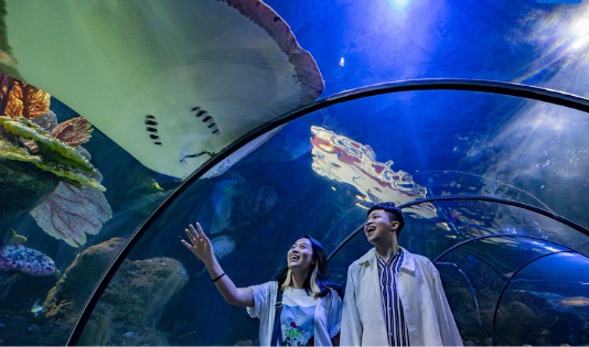 Ngetrip Bawa Anak? Cek 5 Destinasi Wisata Berikut Ini! 1 Wisata anak 1