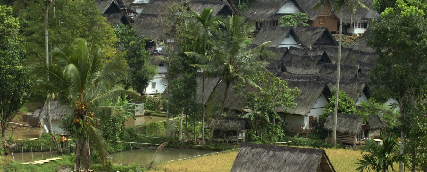 Desa wisata