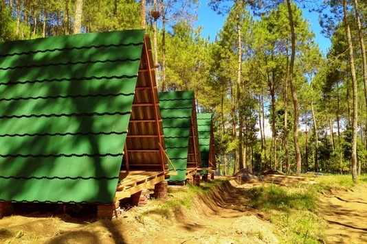 Telomoyo TNP