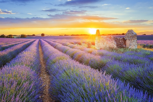 Dapat 5 Miliar, Ini 10 Jenis Liburan yang Bisa Kamu Lakukan untuk Menghabiskannya! 13 provence