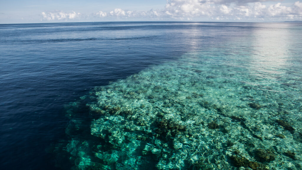 Wakatobi sabet penghargaan
