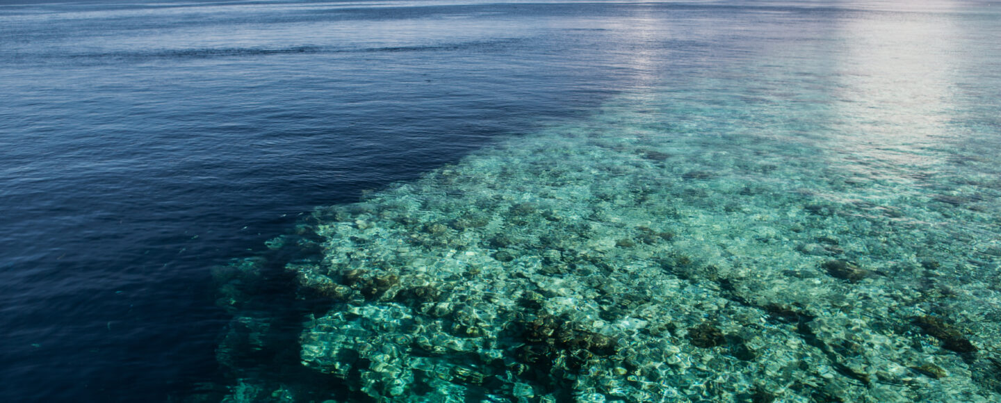 Wakatobi sabet penghargaan