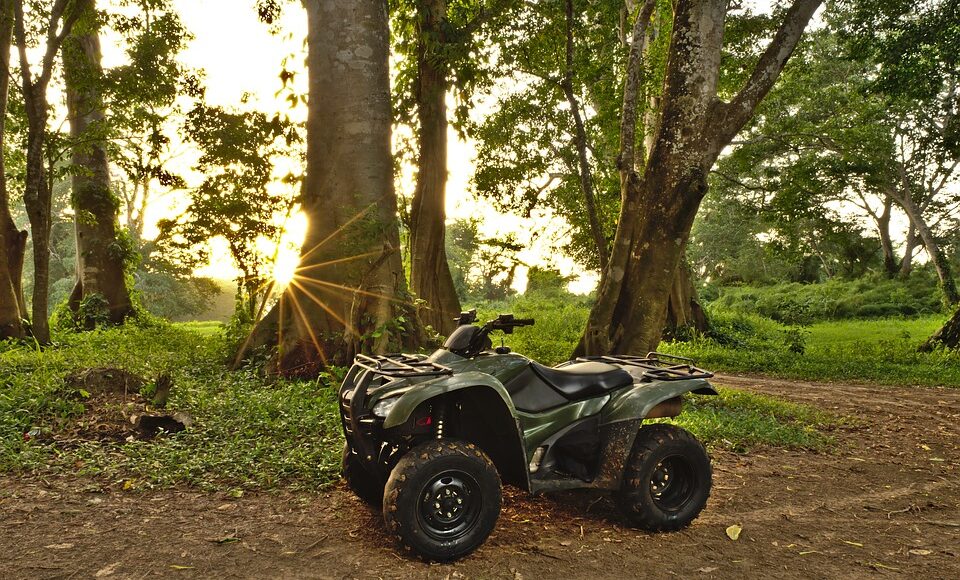 Konsep Ekowisata Kian Marak, Telomoyo Nature Park Siapkan Atraksi Baru