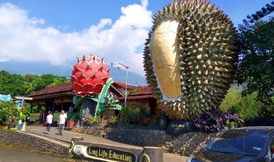 Wisata Durian