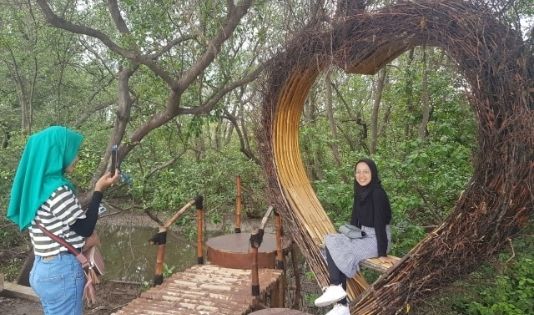Ngetrip ke tempat sejuk