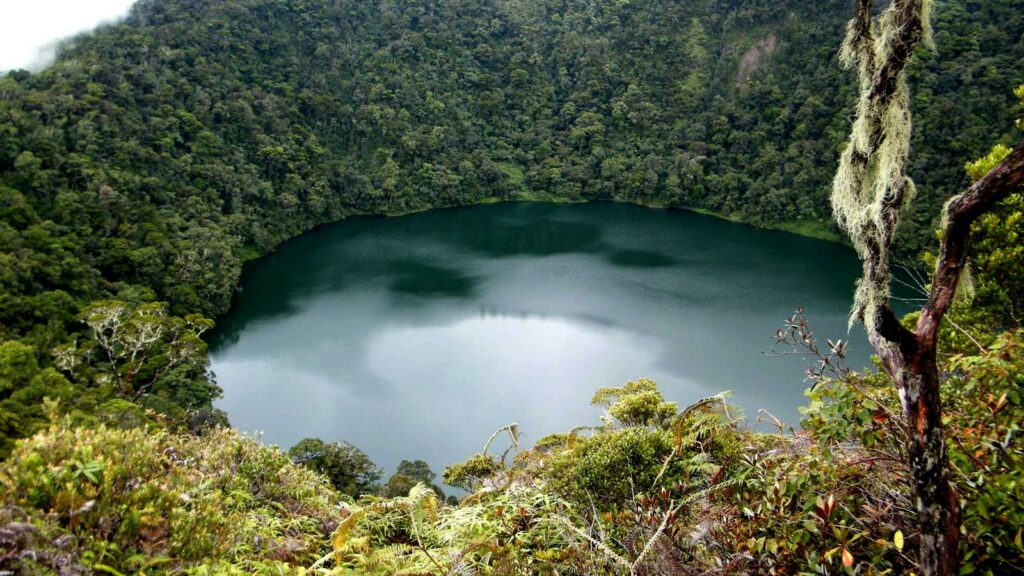 Ada Apa di Jambi? Berikut 5 Destinasi Wisata yang Bisa Kamu Kunjungi Saat Ke Sana