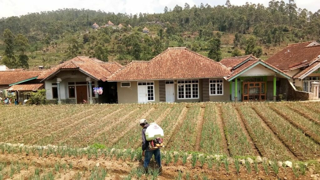 Pesona Desa Wisata Alamendah: Bird Wacthing hingga Wisata Religi