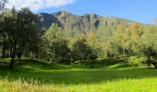 GUNUNG ARJUNA