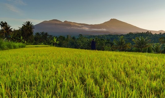 Tetebatu 1