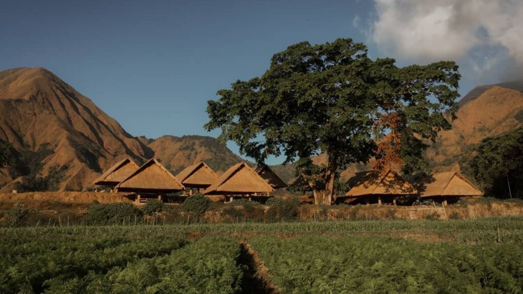 Cobain 5 Kegiatan Liburan Seru di Desa Wisata Tetebatu Cobain 5 Kegiatan Liburan Seru di Desa Wisata Tetebatu