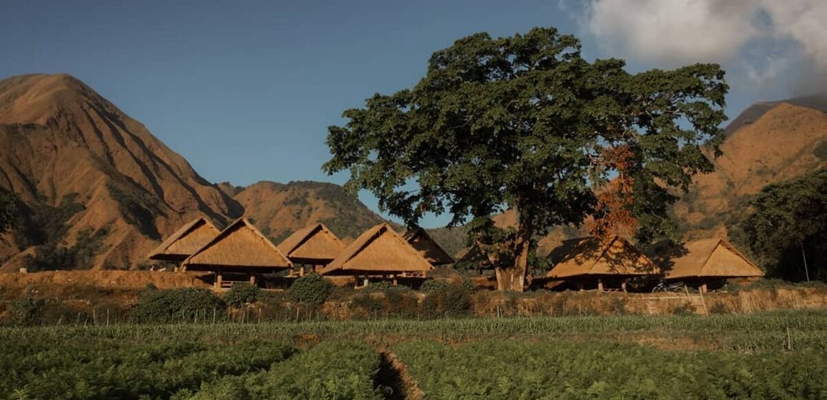 Cobain 5 Kegiatan Liburan Seru di Desa Wisata Tetebatu