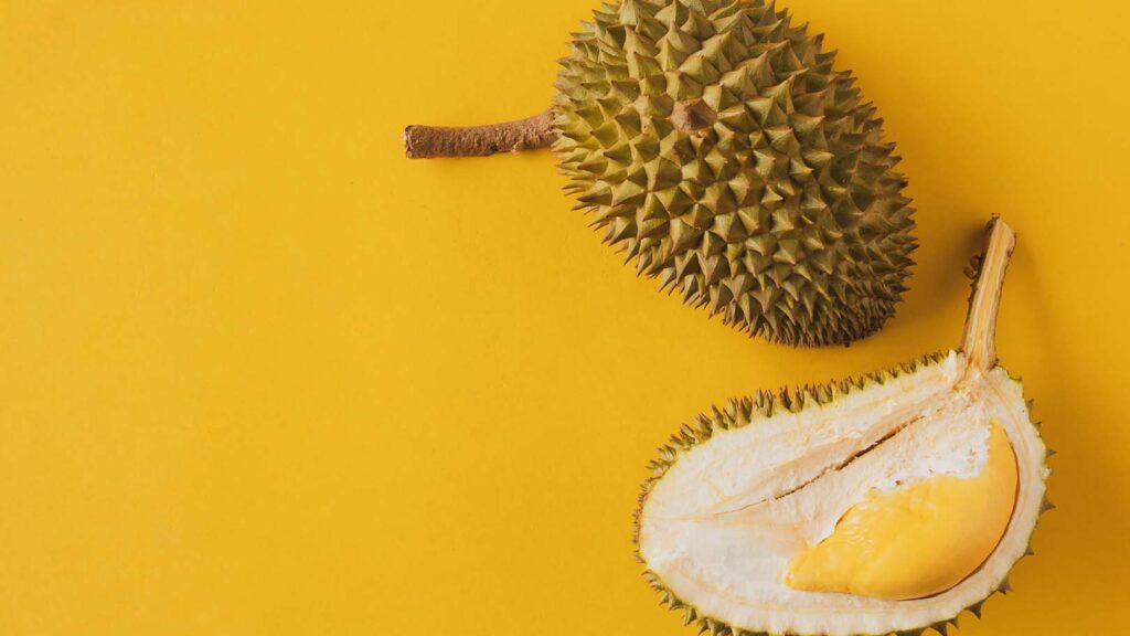 Wisata Durian di Indonesia