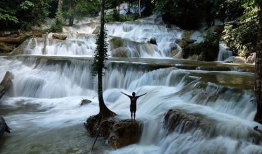 hutan air terjun