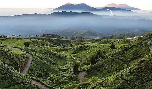 sunrise nirmala bogor