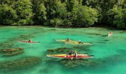 Ngetrip ke Raja Ampat