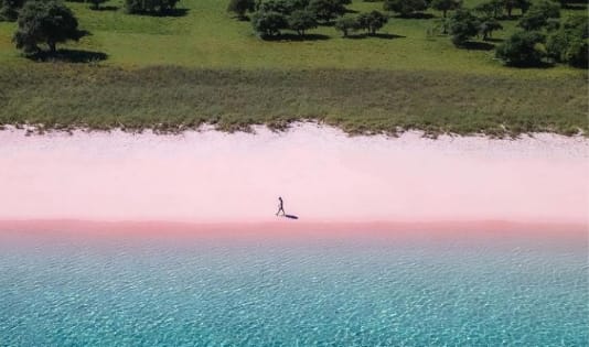 Pink Beach, Lombok