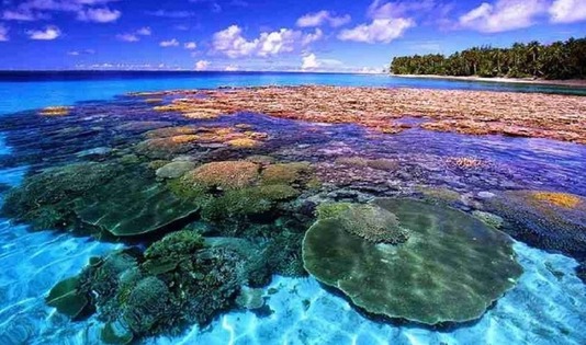 Pemandangan Taman  Laut Bunaken, ngetrip, kawanjo,laut, diving, turis, mancanegara, spot diving, laut weh, aceh, pantai tulamben, tulamben, bali, wisata bali, pulau komodo, wakatobi, derawan, pulau kakaban, morotai, maluku, biota laut, raja ampat, papua, 

