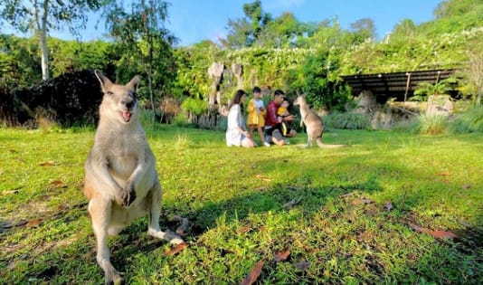 Bermain di Taman Safari Prigen