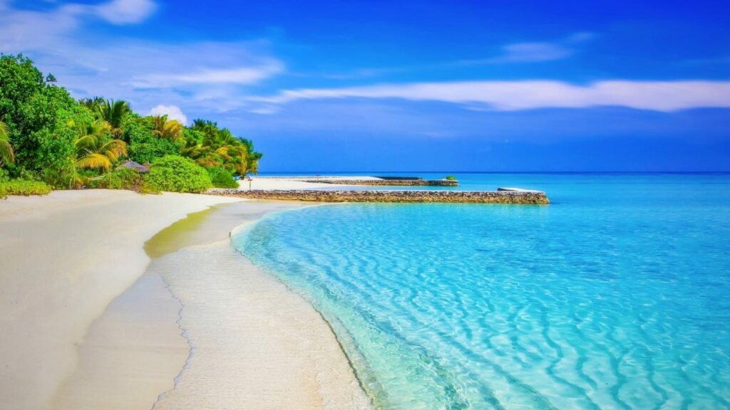 pulau bawah, pulau pribadi, private island, kawanjo, local experience, sultan, pulau cempedak, pandemi, covid 19,