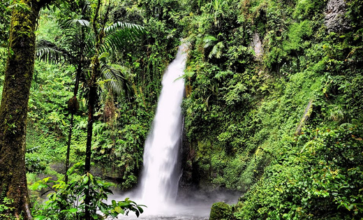 Tasikmalaya, destinasi wisata, kawanjo, local experience, pasir krisik, kampung naga, telaga denuh, curug sawer, curug, cipatuh,