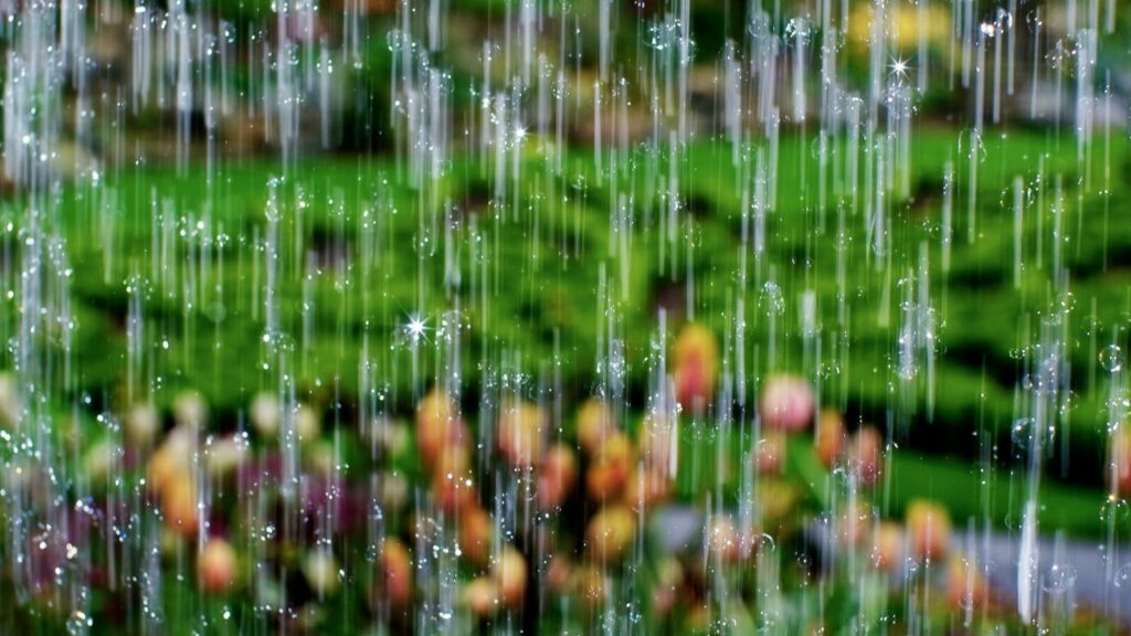 Tips Ngetrip ke Curug Musim Hujan