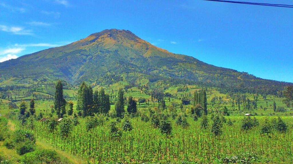 Gunung Sindoro