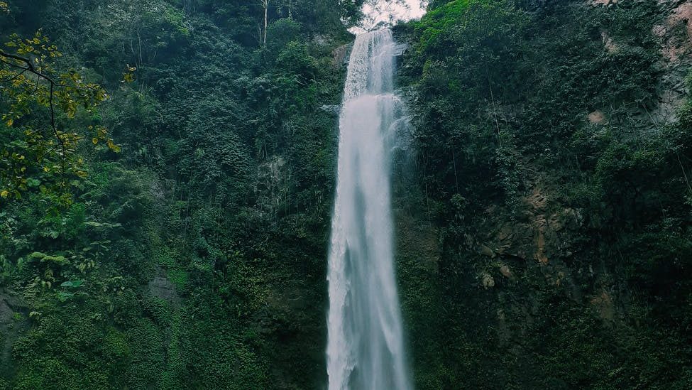 bogor, estetik, instagramable, instagram, feed, kawanjo, destinasi wisata, paket wisata, curug, curug ciherang, curug cigamea, taman sakura, cibodas, rusa giri, cariu, tirta sanita, ciseeng,