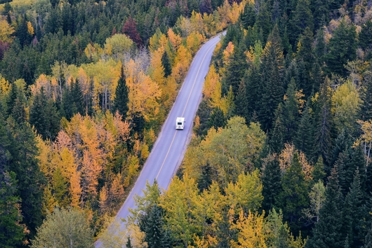 Jalur campervan